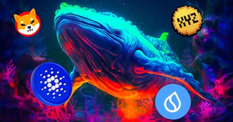 Whales Keep Accumulating These Digital Assets – Here’s How High ADA, SUI, SHIB & XYZVerse (XYZ) Price Climbs If…